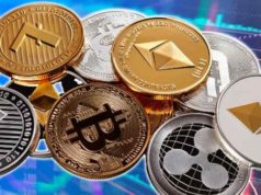 Freelancer argentinos promedian US$ 2.500 por mes y cobran en dólares digitales o stablecoins