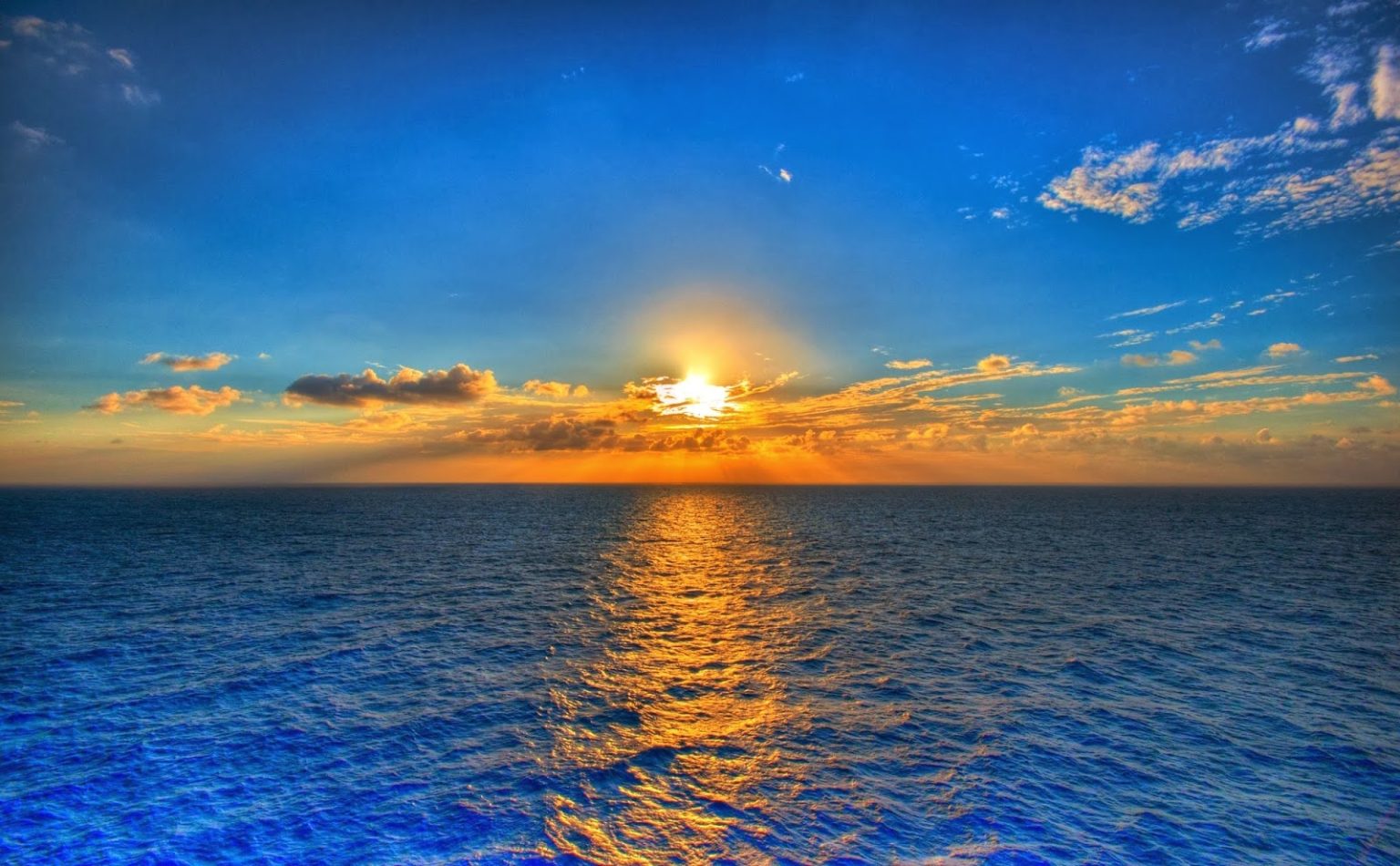 Sale el sol TelcosMedia